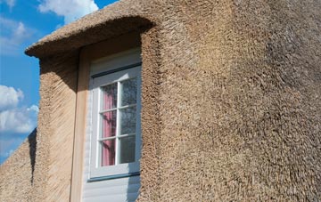 Docker thatch roof disadvantages